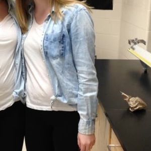 🌸Light demin look jacket🌸